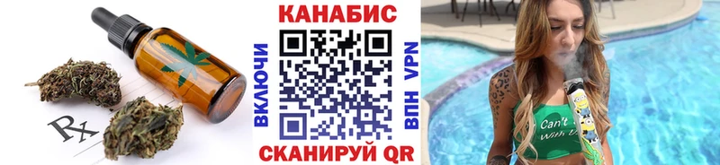 МЕГА ONION Сурск маркетплейс наркотические препараты цена Печенье с ТГК марихуана