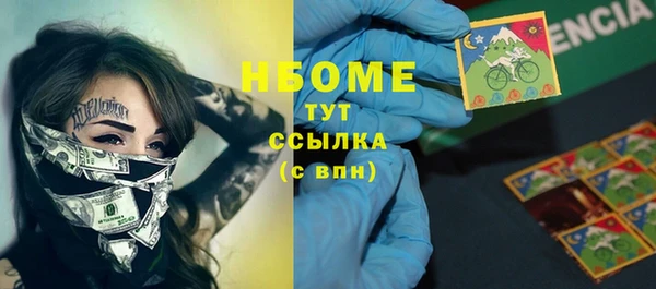 индика Медногорск
