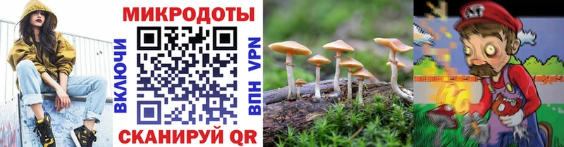 Псилоцибиновые грибы ЛСД  Сурск 